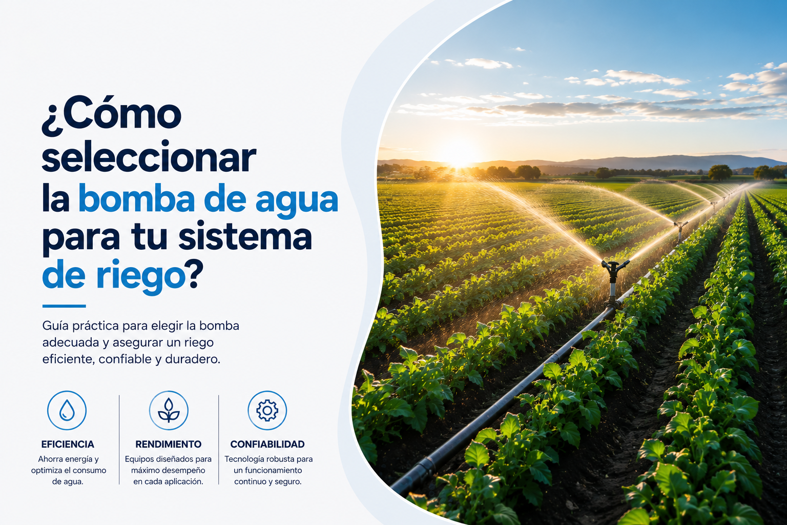 Aprende a seleccionar la bomba para riego más adecuada para tu necesidad.